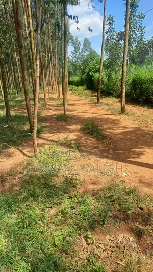 3acres Matungu on Sale.
