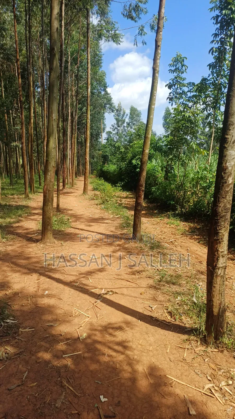 3acres Matungu on Sale.