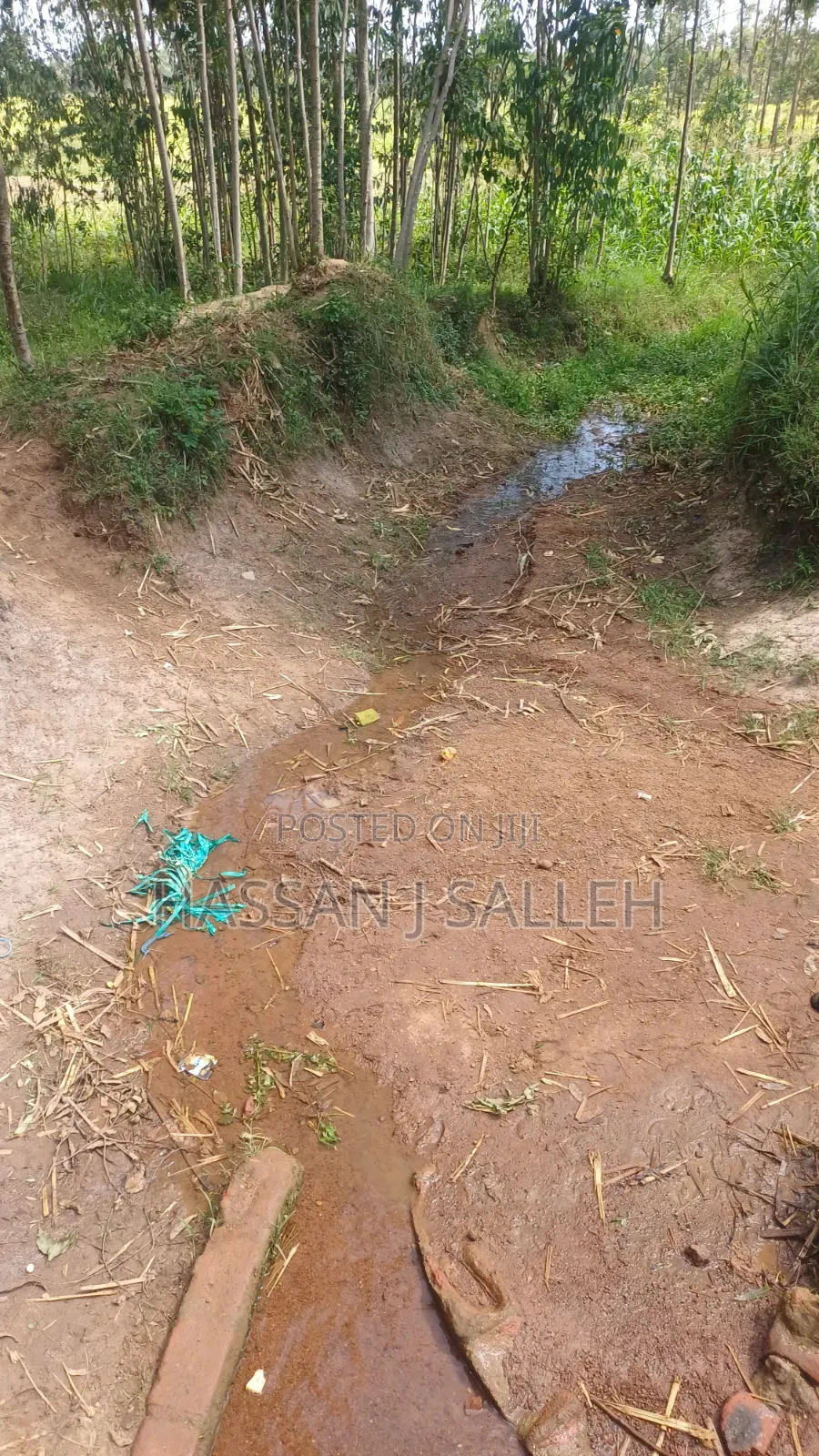 3acres Matungu on Sale.