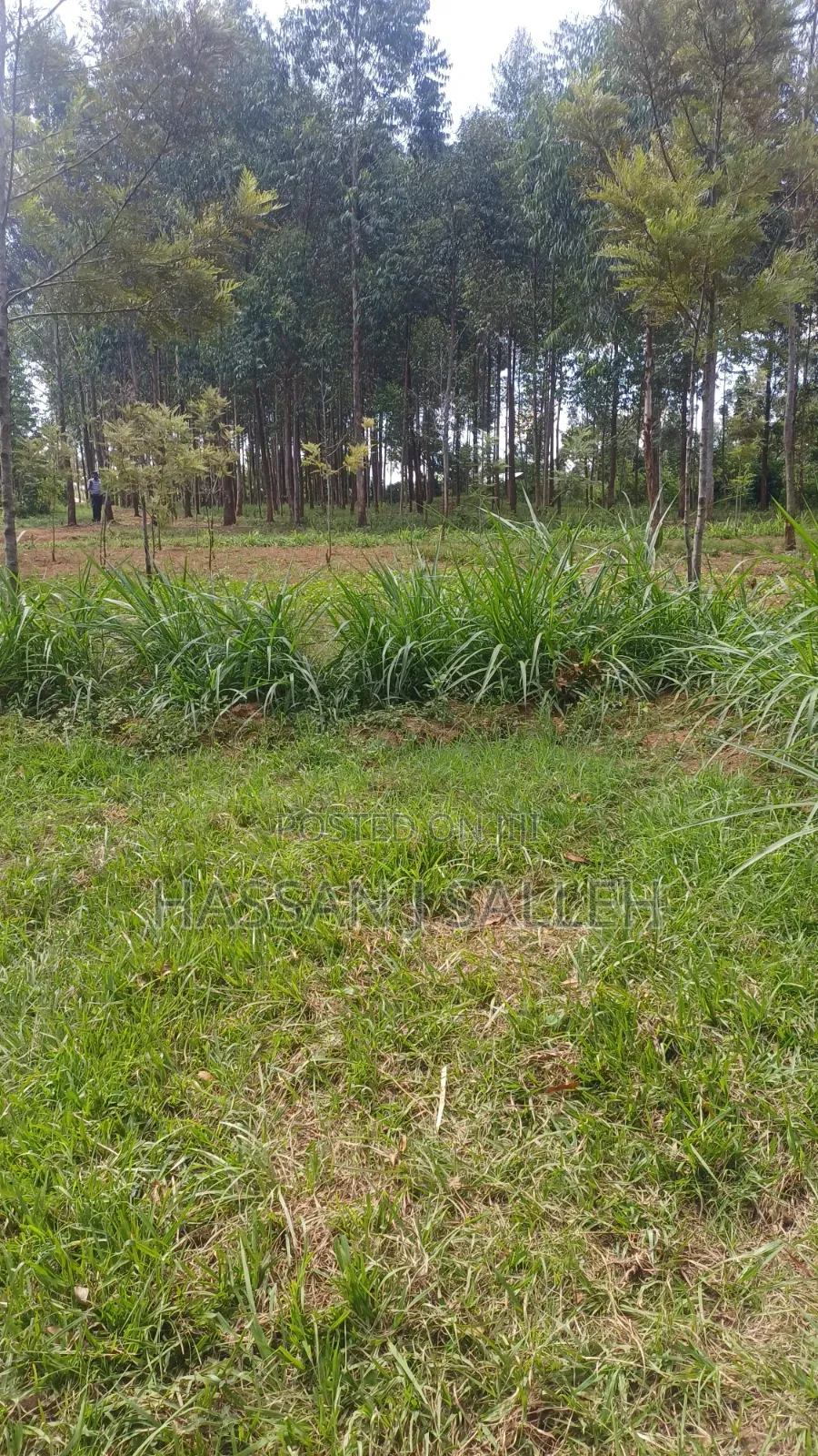 3acres Matungu on Sale.