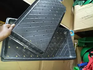 Hydroponic Trays for Greenhouse Propagation - With Holes