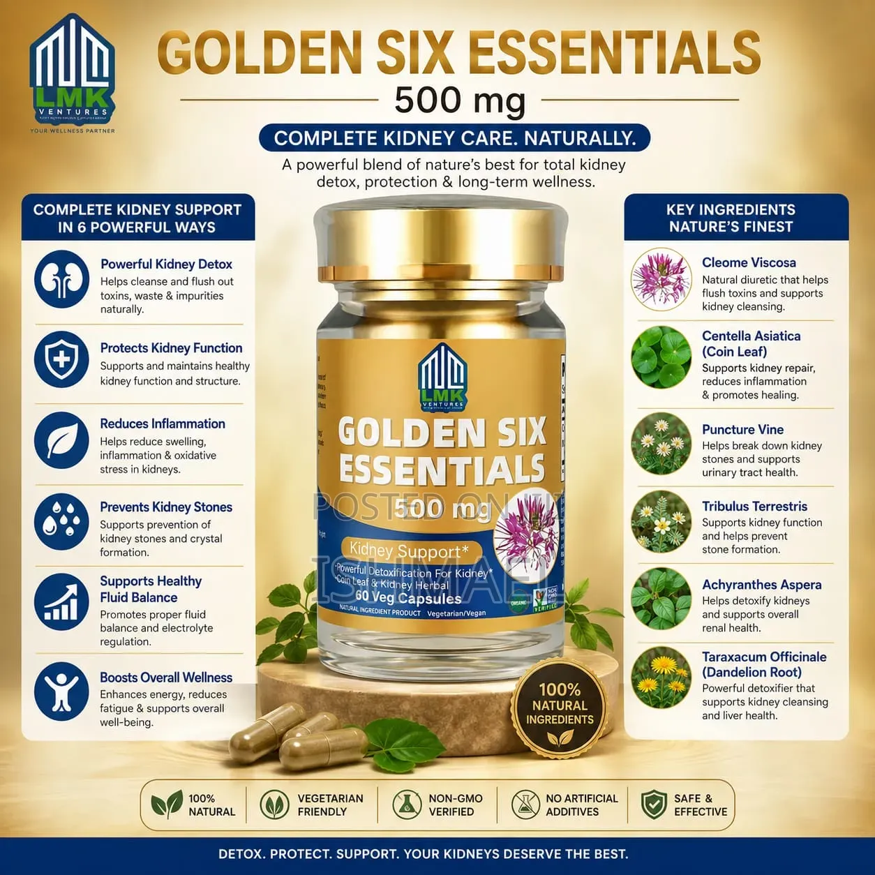 Golden Six Essentials