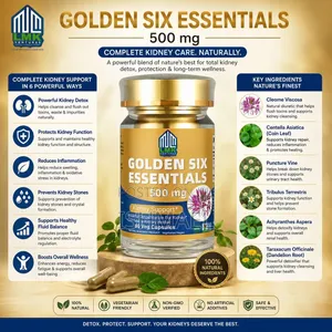 Golden Six Essentials