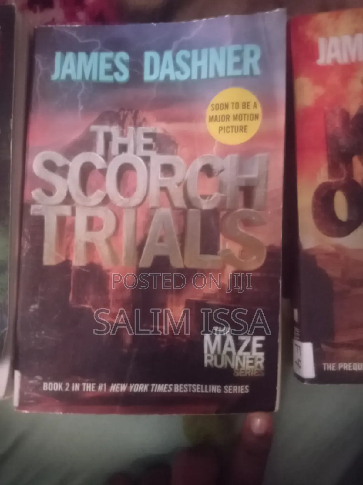 The Maze Runner