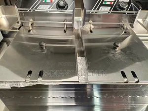 Electric Fryers