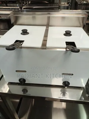 Gas Commercial Fryer