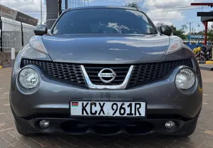 Nissan Juke 2012 Gray