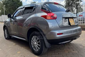 Nissan Juke 2012 Gray