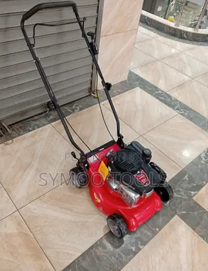 Gasoline 123cc 3.5 HP Lawn Mower (Hand Push)