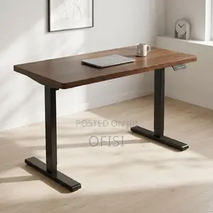 Electric Desk; Electric Sit-Stand Home Office Desk