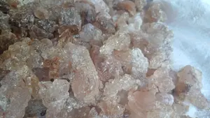 Arabic Gum