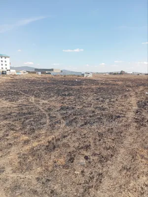 Malili Commercial Plots
