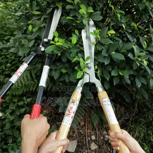 Telescopic Prunning Shears