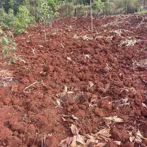 Plots/Land for Sale in Kenol, Maragua Area