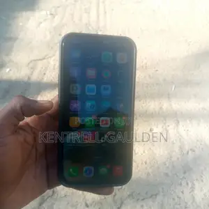 Apple iPhone 12 Pro Max 256 GB Graphite