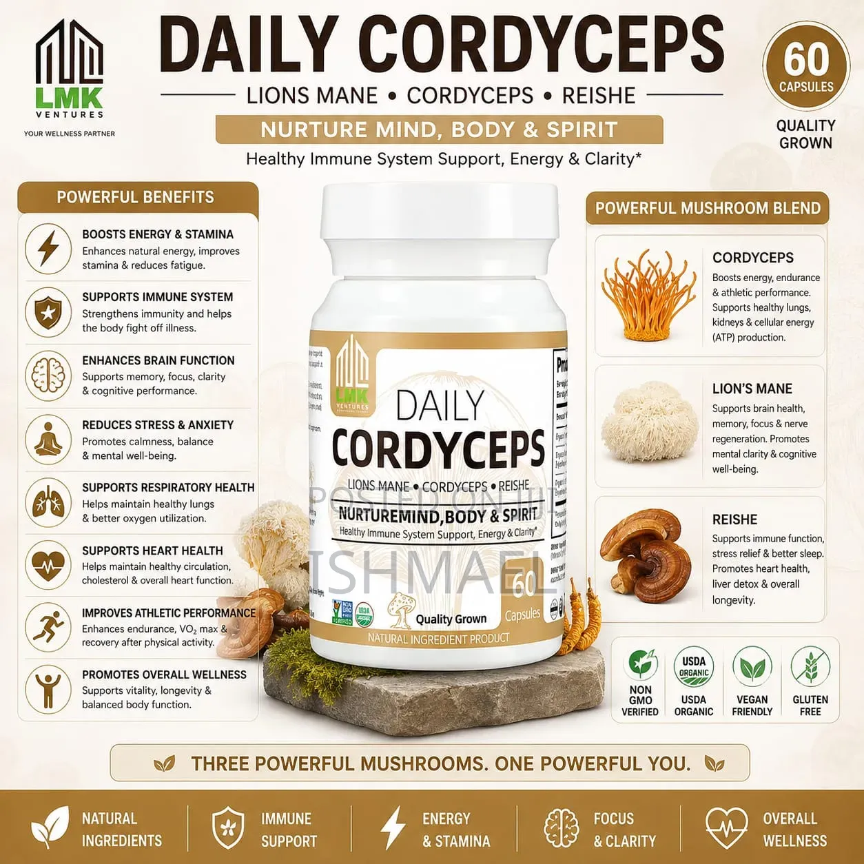 Daily CORDYCEPS