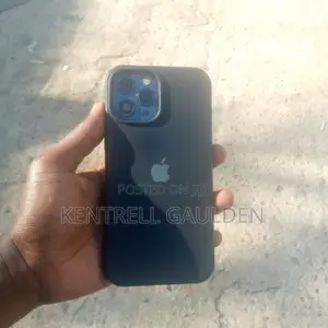 Apple iPhone 12 Pro Max 256 GB Graphite