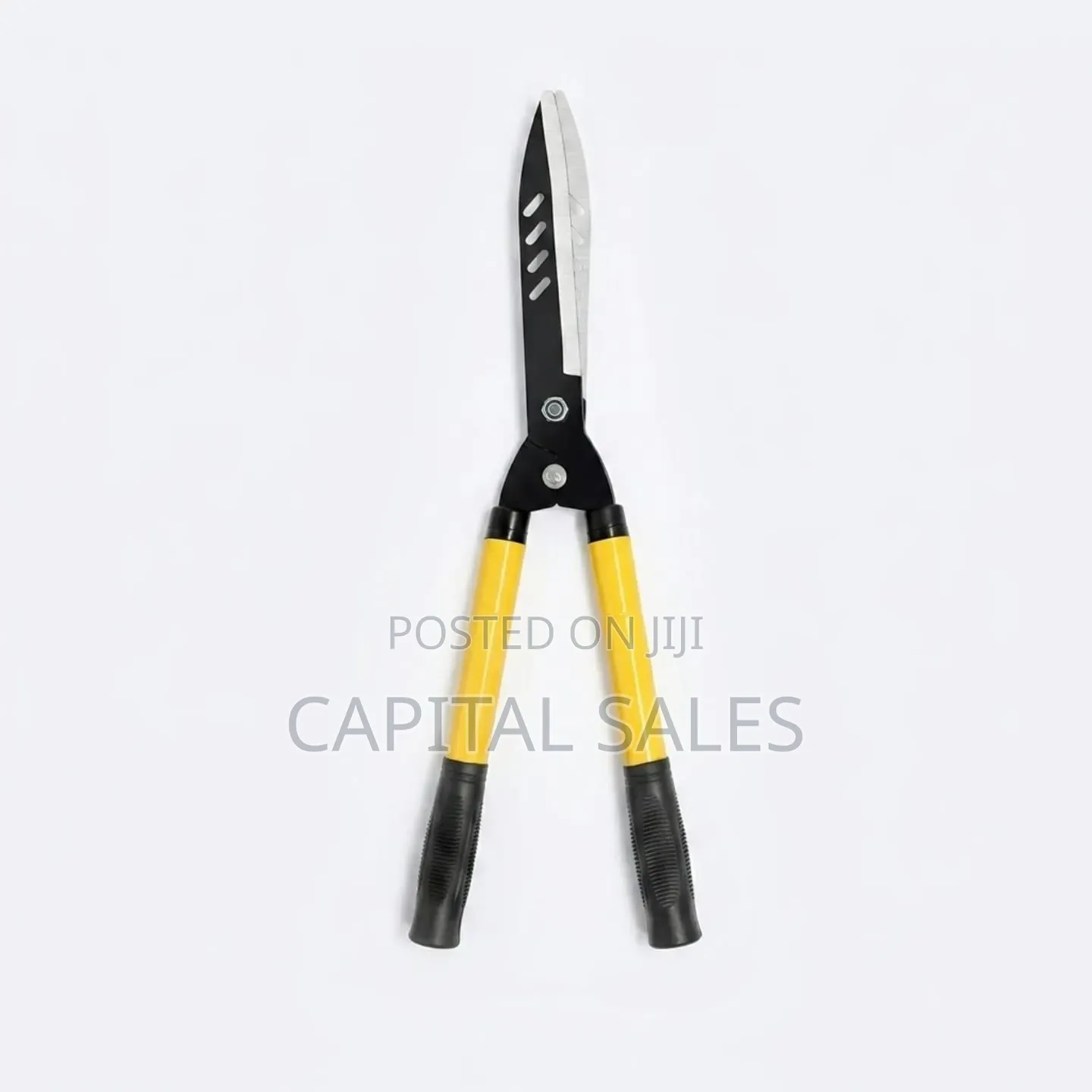 Prunning Shears