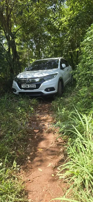 Honda Vezel 1.5 2WD 2019 Pearl