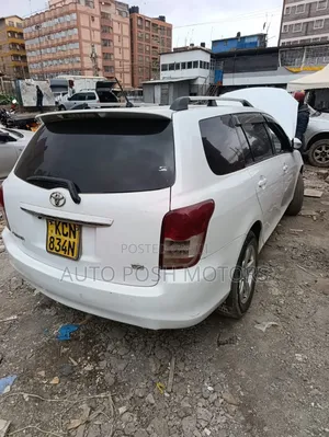 Toyota Corolla Fielder 2010 White