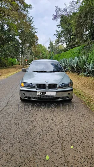 BMW 318i 2004 Gray