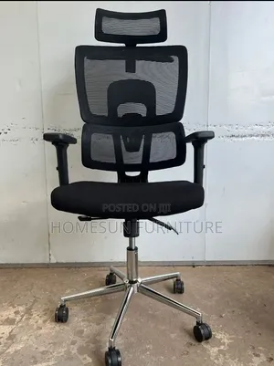 Office Chair; Orthopedic Chair Reclining Back Adjustable Hands