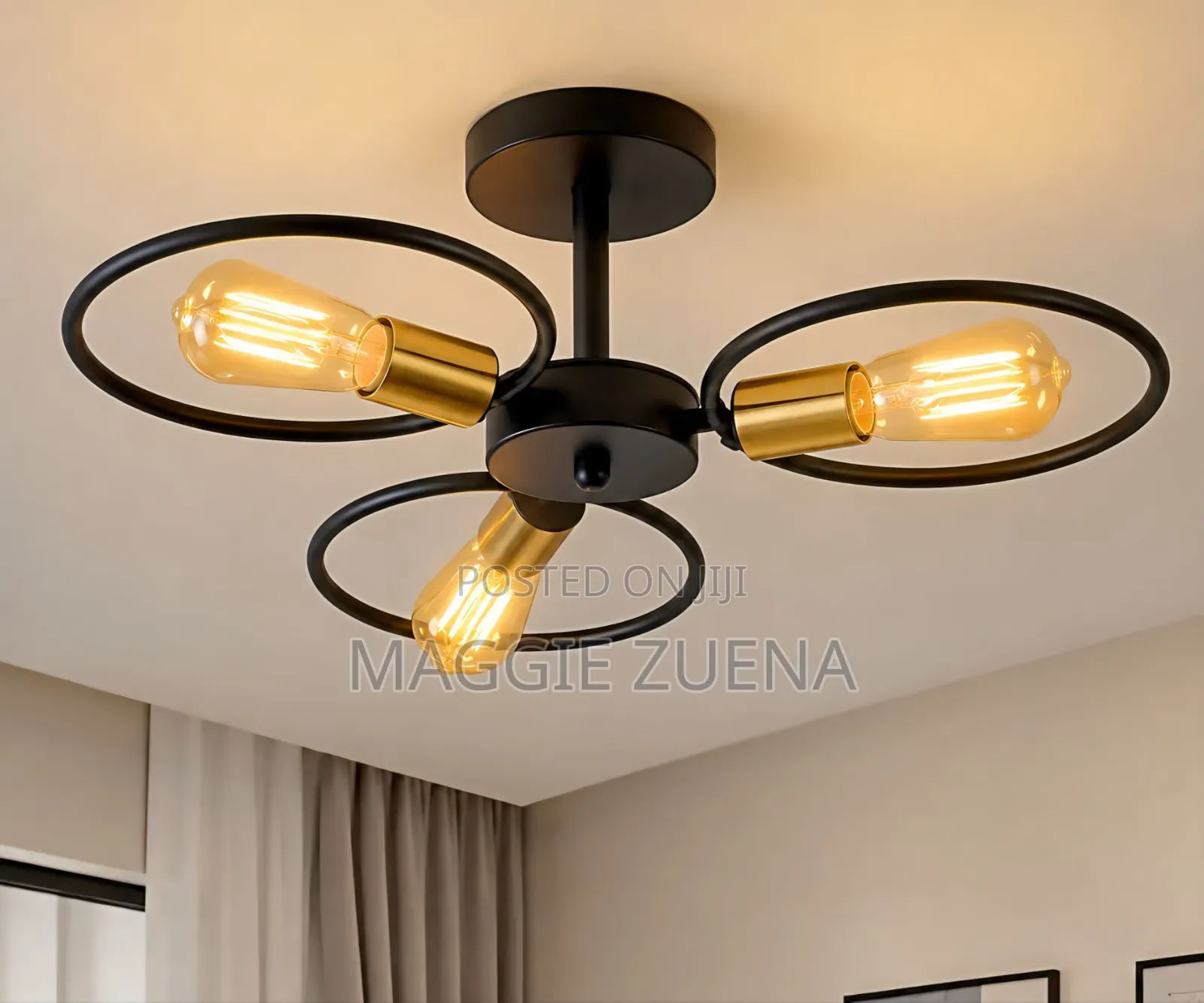 Ceiling Lights