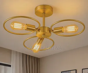 Ceiling Lights