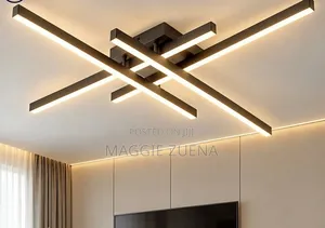 Led Ceiling Fixtures