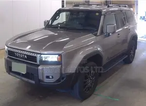 Toyota Land Cruiser LC250 2024 Gray