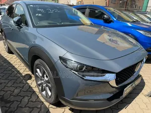 Mazda CX-30 2019 Gray