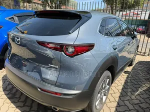 Mazda CX-30 2019 Gray