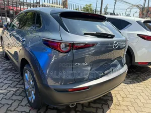 Mazda CX-30 2019 Gray
