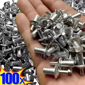 Screw Rivets