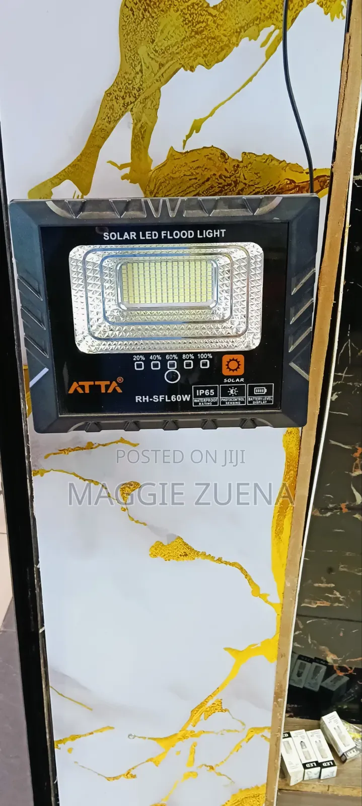 Solar Floodlights