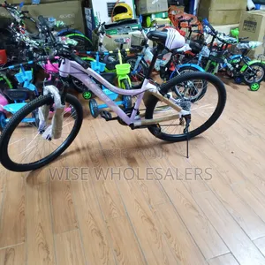Reset Size 26 Mountain Bike