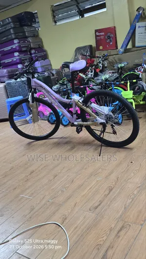 Reset Bike Bicycle Size 26 Adults Bike