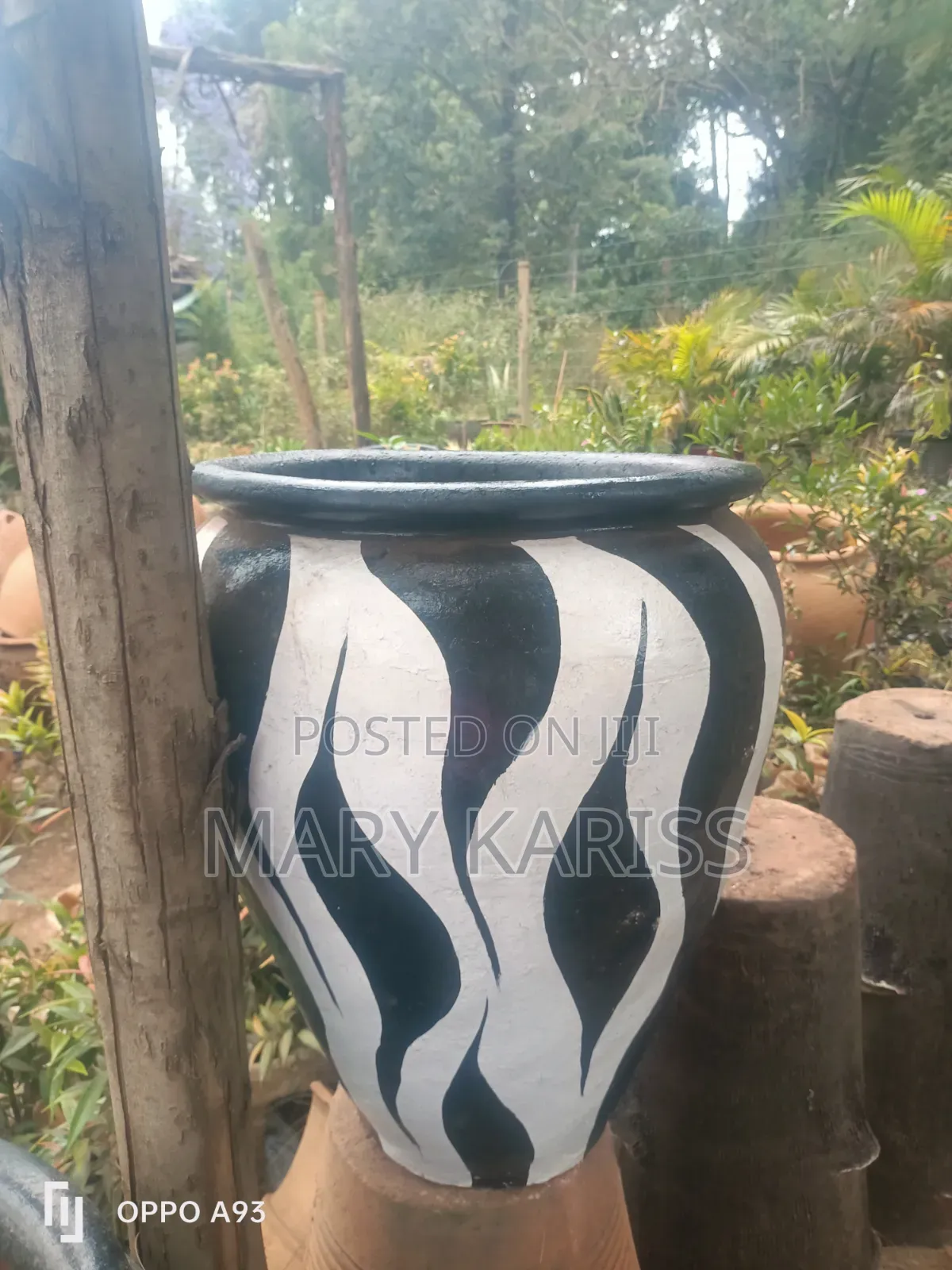 Zebra, Claypot Jars