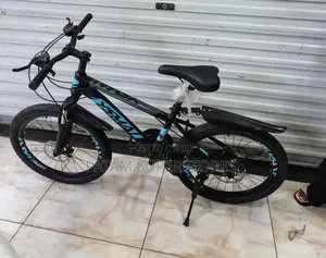 Kajla Mountain Bike Size 22 With Gears