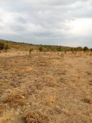 Kiu After AIMI MA KILUNGU 5 Acres 4kms Off Msa Rd