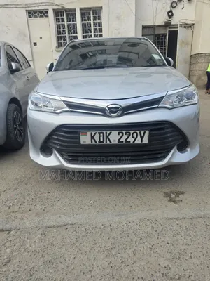 Toyota Corolla Fielder 2015 Silver