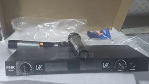 PNK Pk500 Wireless Microphone