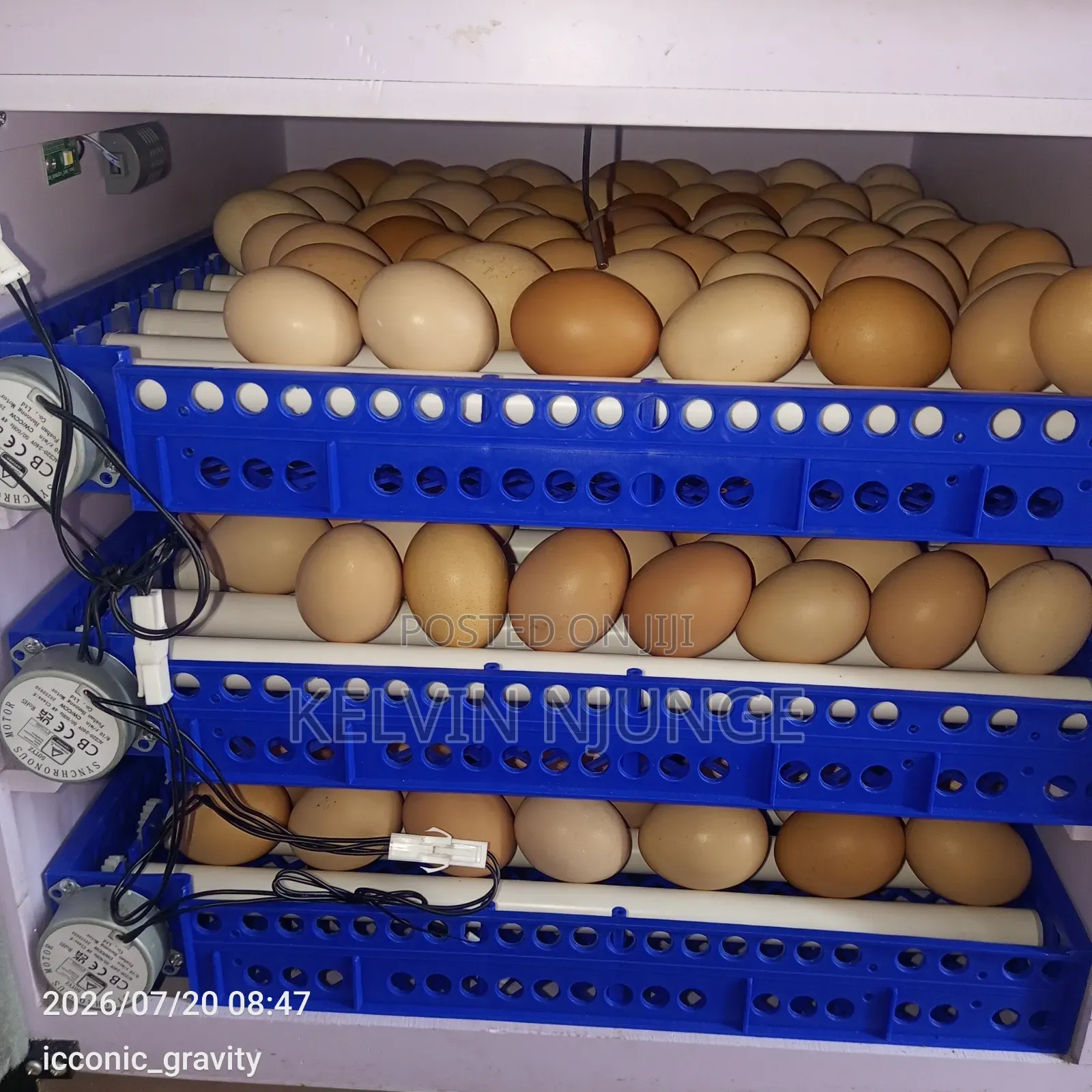 Incubator Machine 204 Eggds