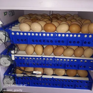 Incubator Machine 204 Eggds