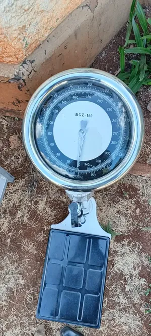 Hospital Scale
