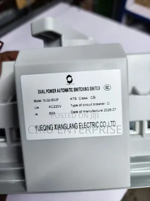 63amps Dual Power 2 Pole Automatic Change Over Switch