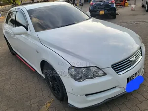 Toyota Mark X 2007 Pearl
