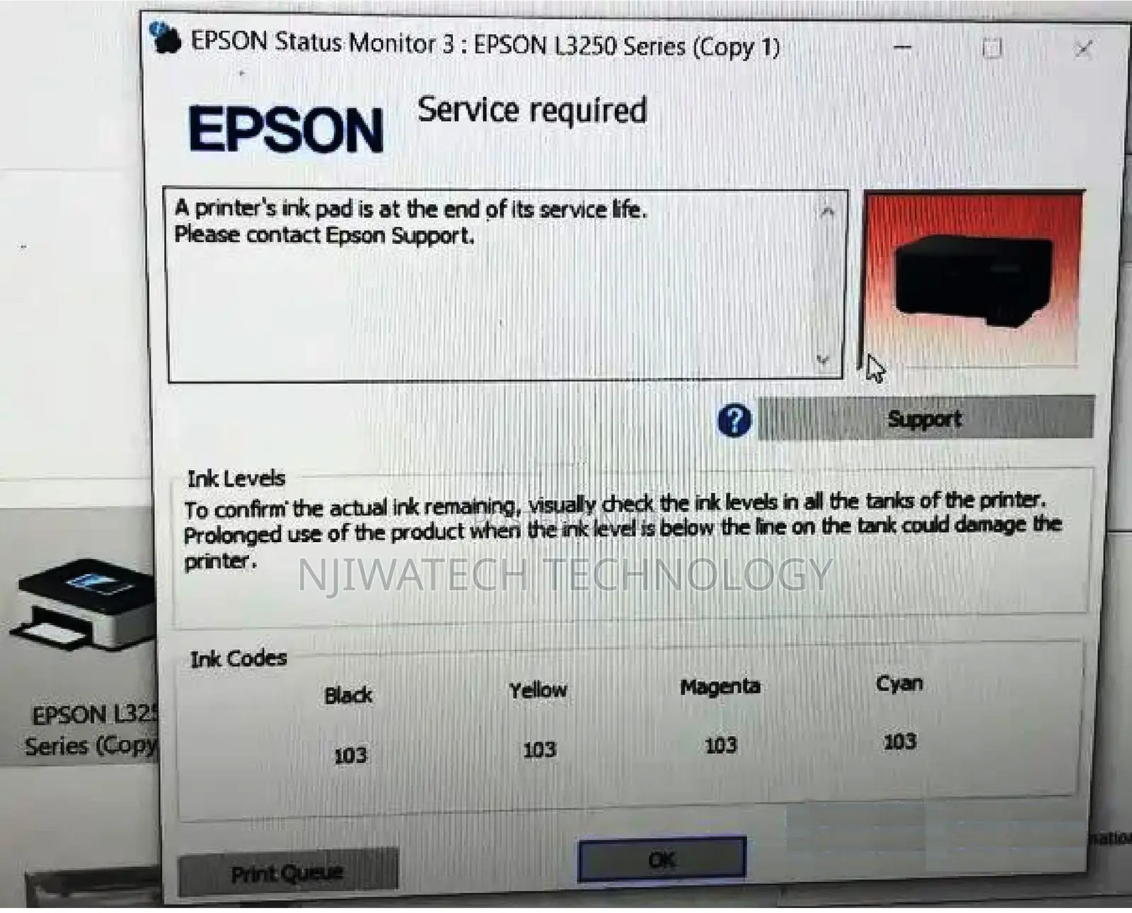 Epson Service Required