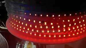 50M Blue LED Rope Light - Waterproof 5050 SMD - 220V Decor Light