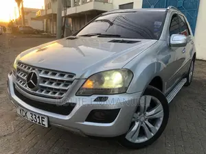 Mercedes-Benz M Class 2011 Silver